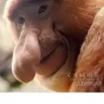 Profile picture of anatollij1965